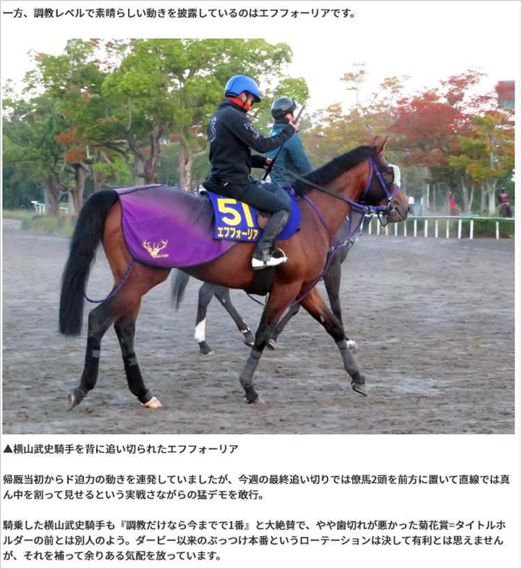 先週(10/25～10/31)の亀谷サロンダイジェスト