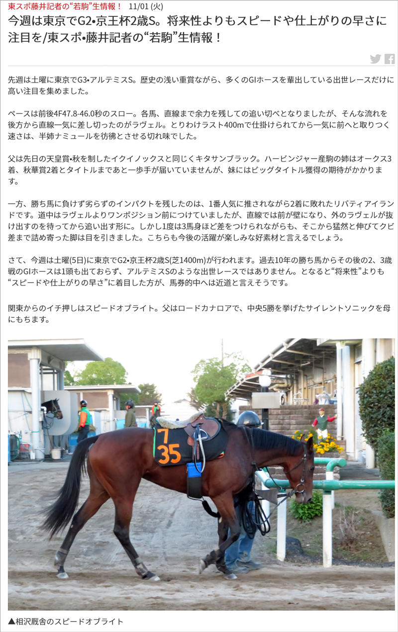東スポ藤井記者の“若駒”生情報！