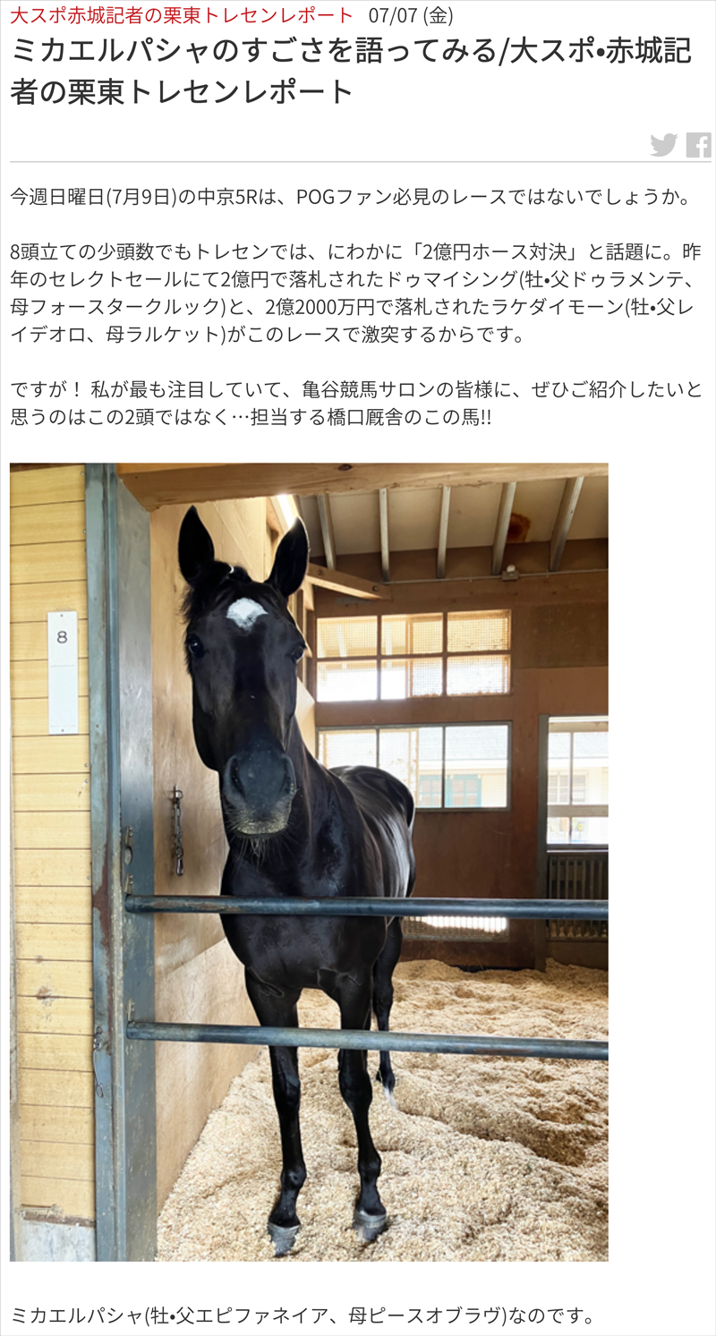 ミカエルパシャのすごさを語ってみる/大スポ・赤城記者の栗東トレセンレポート