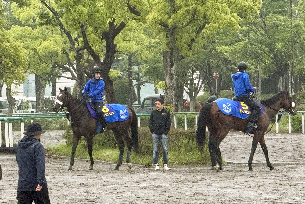1週前追い切りを終えたシックスペンス(左)