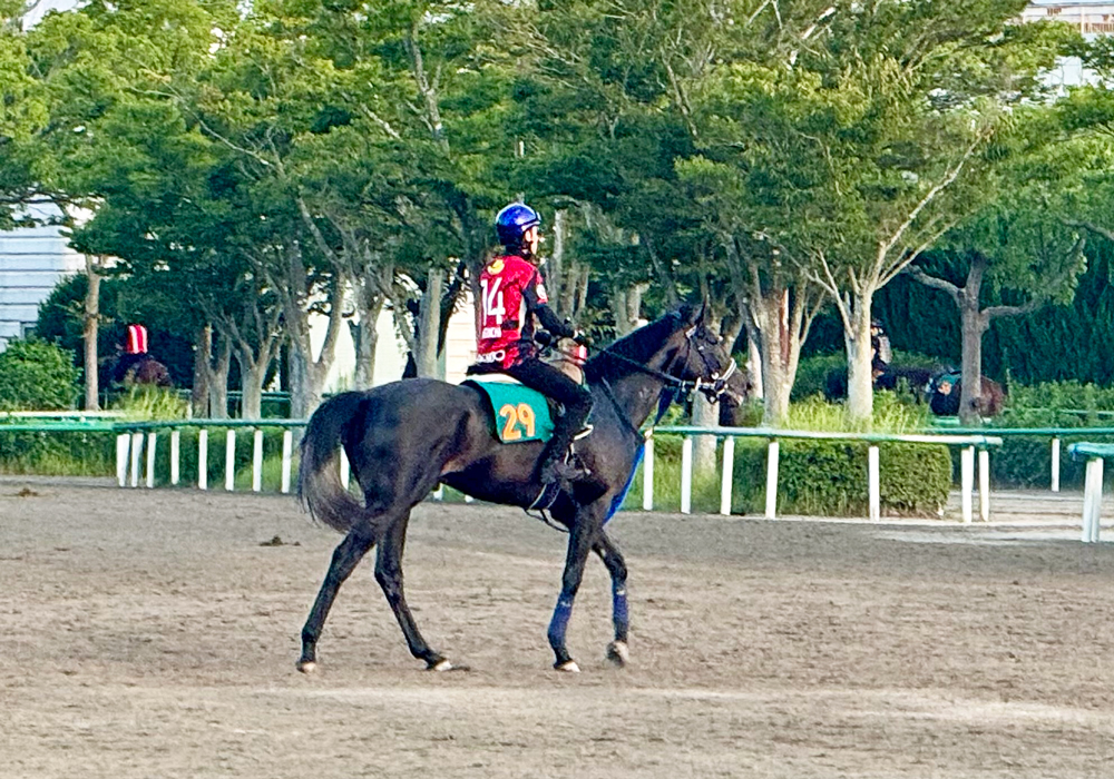 津村騎手のトーンも高いリアライズシリウス 津村騎手のトーンも高いリアライズシリウス