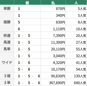 8月17日 中京7R 中京記念