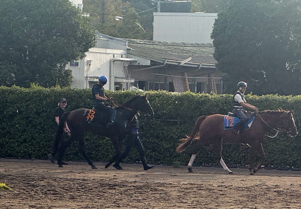 モレイラ騎手が騎乗するファイアンクランツ(写真左) モレイラ騎手が騎乗するファイアンクランツ(写真左)