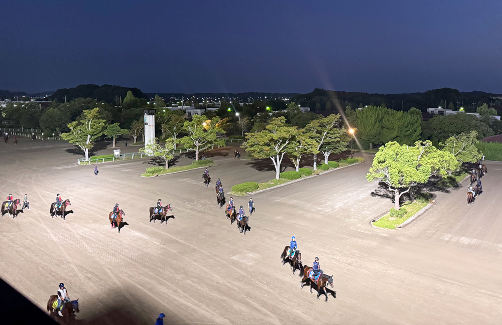 朝の美浦トレーニングセンター 朝の美浦トレーニングセンター