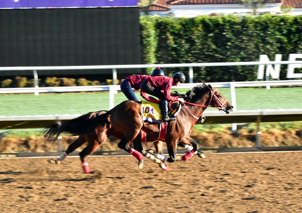現地で調整中のフォーエバーヤング(手前) 現地で調整中のフォーエバーヤング(手前)