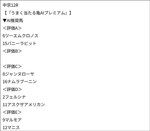 12/6(土)中京12Rのうまく当たる亀AIプレミアム 12/6(土)中京12Rのうまく当たる亀AIプレミアム