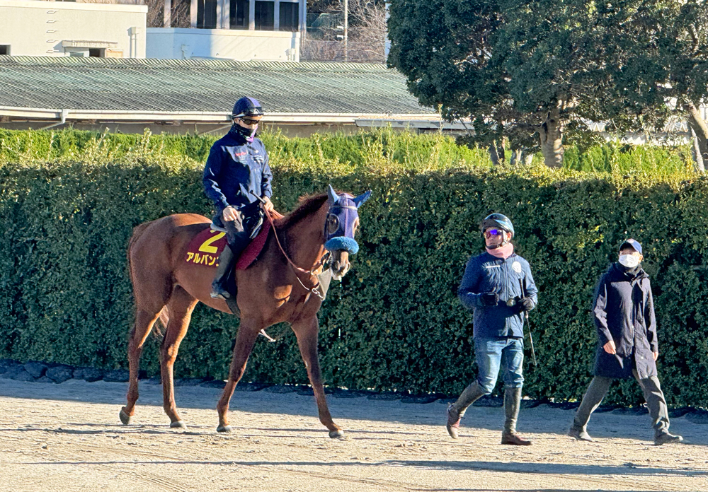 3連勝でGI制覇を狙うアルバンヌ 3連勝でGI制覇を狙うアルバンヌ