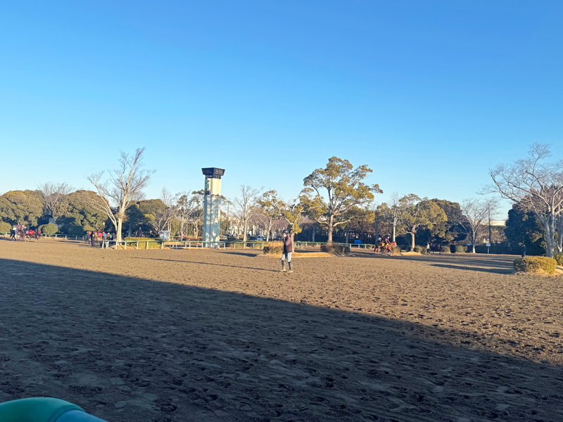 冷え込んだ年明けの美浦トレセン
