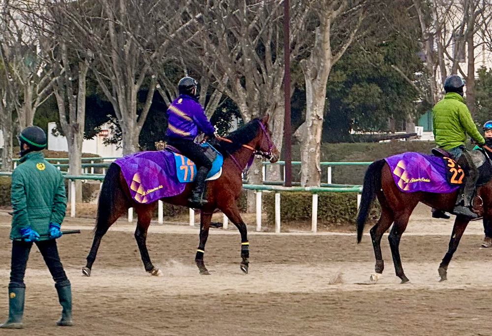 重賞初制覇を狙うディマイザキッド(左) 重賞初制覇を狙うディマイザキッド(左)