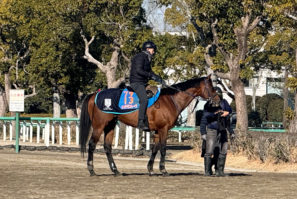 陣営のトーンが高いレッドモンレーヴ