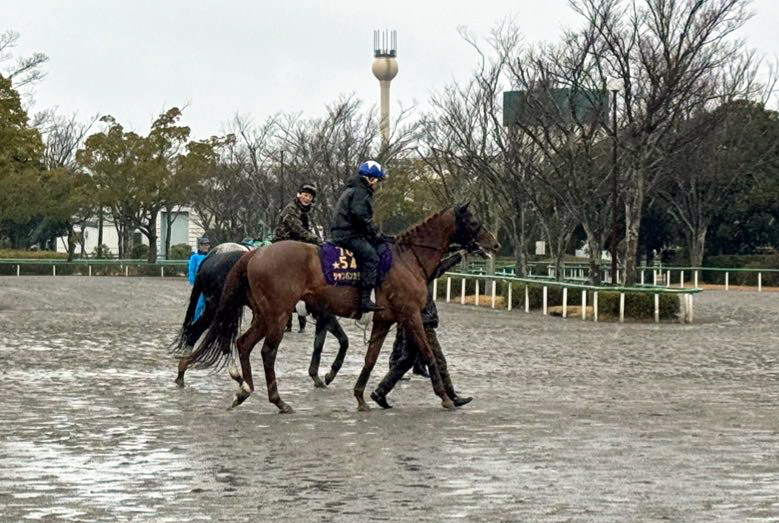 岩田騎手2度目の騎乗となるシャンパンカラー