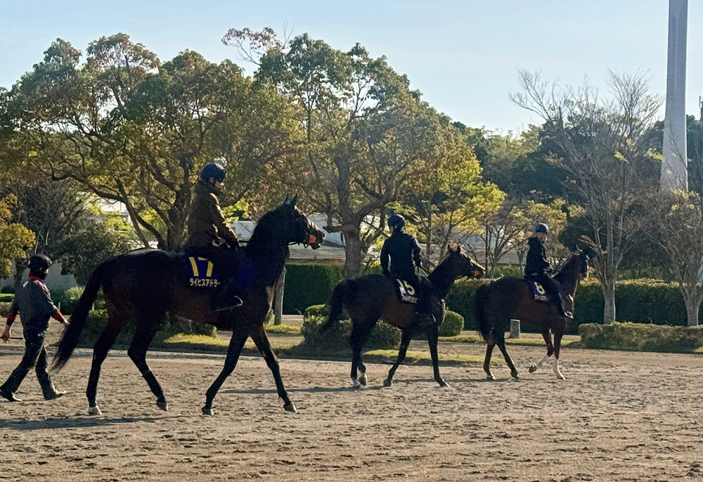 ライヒスアドラー、フォルテアンジェロ、グリーンエナジー