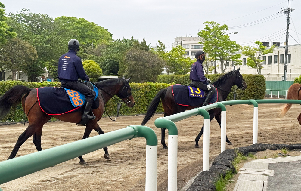 連覇を狙うヘデントール(写真右)