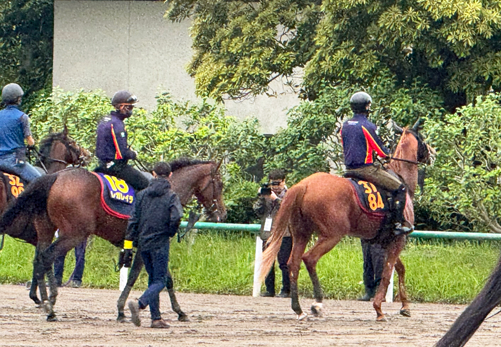 昨年と同じローテも中身が違うレガレイラ(写真左)