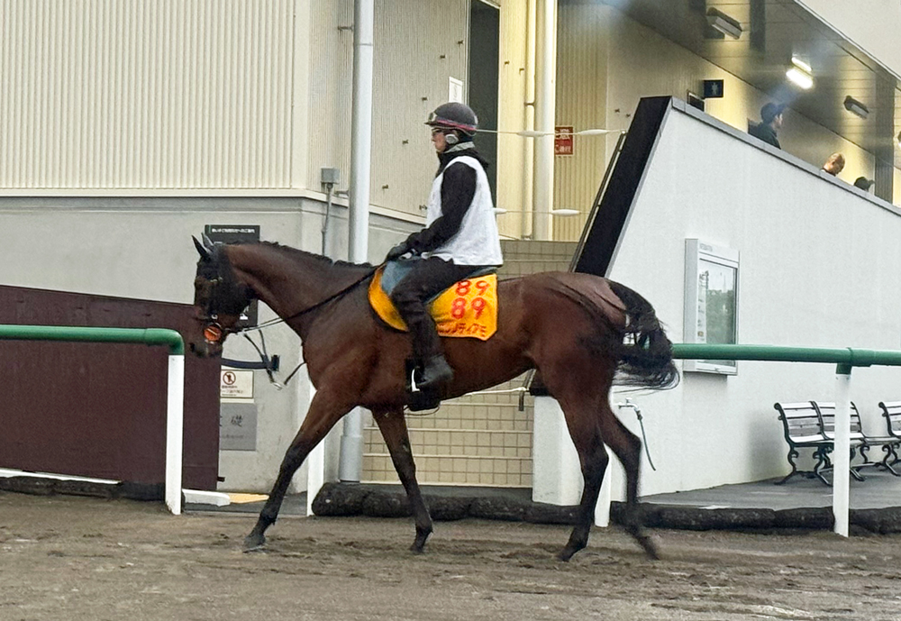 重賞2勝目を狙うニシノティアモ 重賞2勝目を狙うニシノティアモ