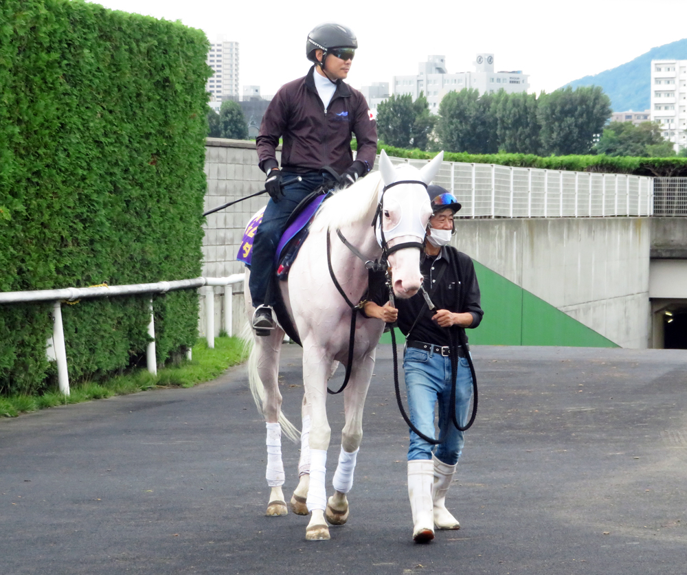  札幌記念を勝利したソダシ 定のアライバル 