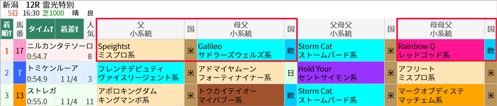 日曜新潟最終Rの結果
