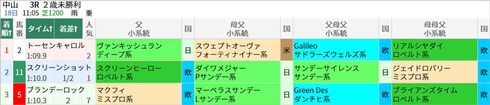  土曜中山3R結果 