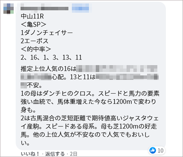 日曜中山11R 亀SP