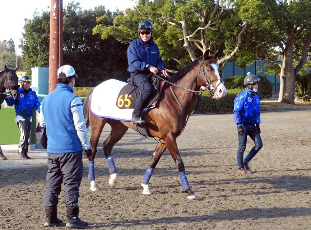  京成杯に出走するアライバル 