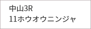 日曜中山3R 買いパターン該当馬
