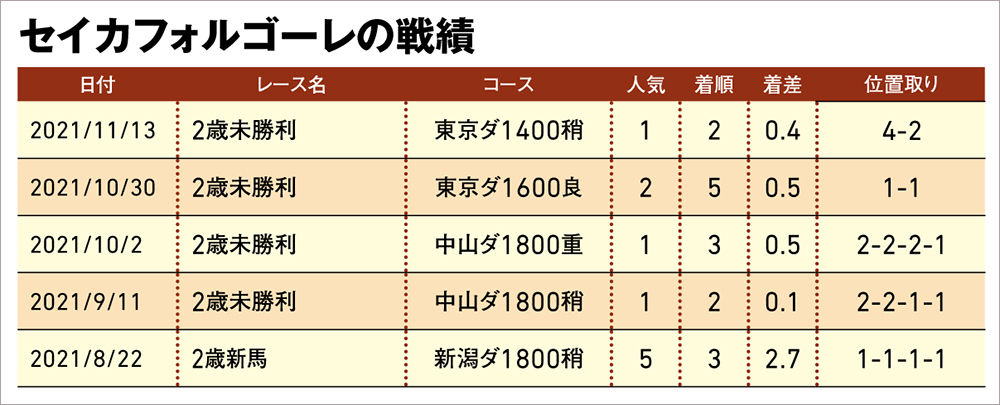 セイカフォルゴーレ 戦績