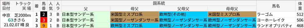 きさらぎ賞 過去10年好走馬/国系統