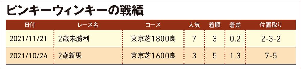 ピンキーウィンキー 戦績