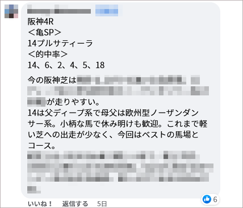 土曜阪神4R 亀SP