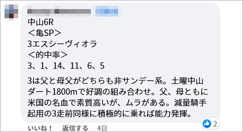 日曜中山6R 亀SP