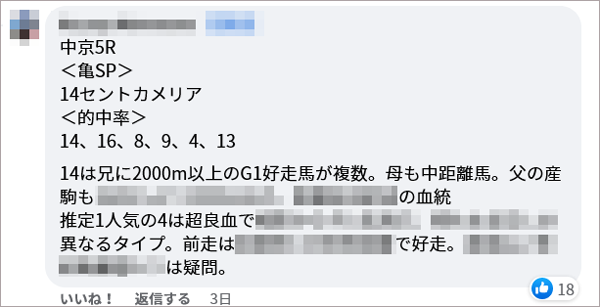 日曜中京5R 亀SP