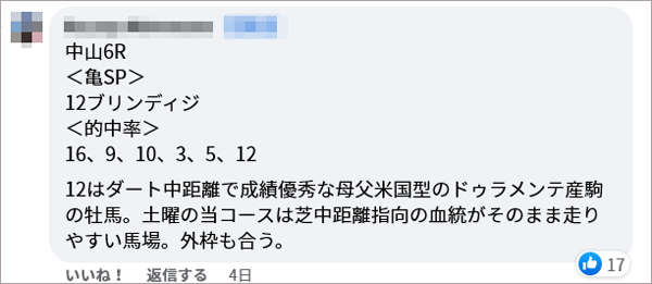 日曜中山6R 亀SP