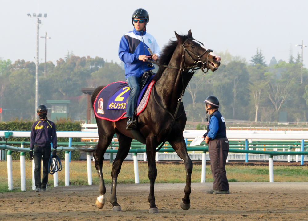 2戦2勝で皐月賞に挑むイクイノックス