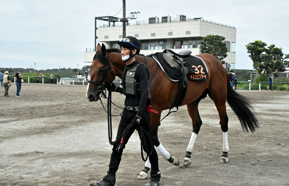 田村厩舎のアスクビクターモア
