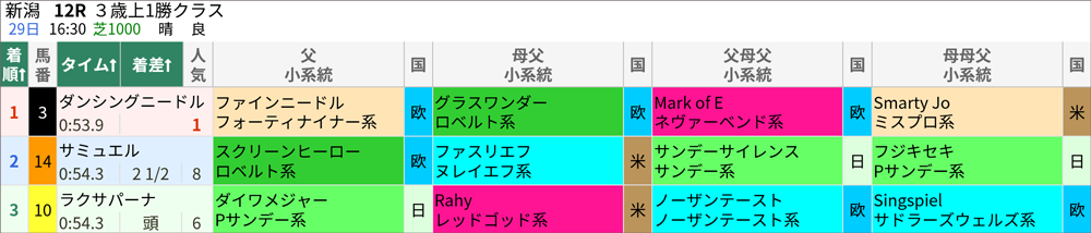 7月29日(土)新潟12R 結果