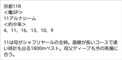 10月29日(日)京都11R 亀SP