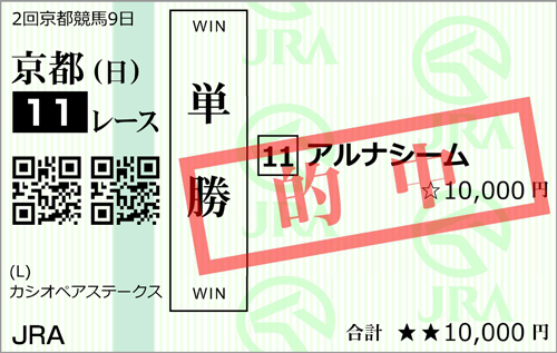 10月29日(日)京都11R 的中馬券