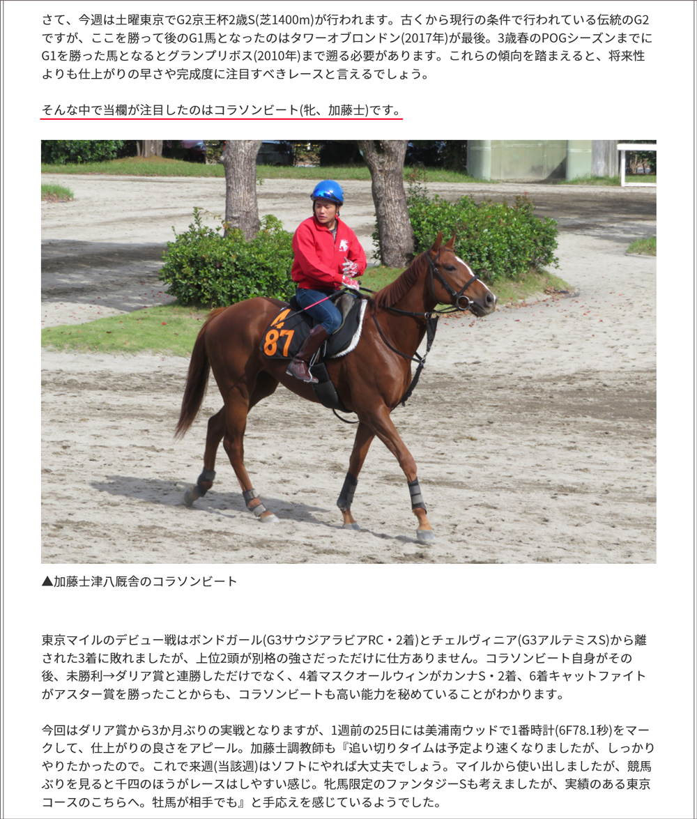 今週は伝統のG2京王杯2歳S。当欄が注目するのは完成度の高さが光るあの馬！/東スポ・藤井記者の“若駒”生情報！
