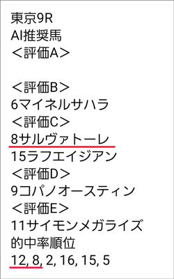 11月4日(土)東京9R 『うまく当たる亀AIプレミアム』