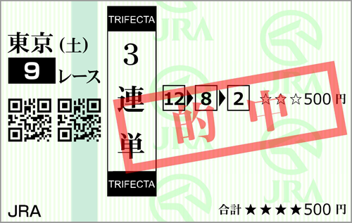 11月4日(土)東京9R 的中馬券