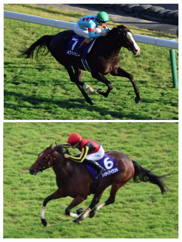 上イクイノックスと下リバティアイランド