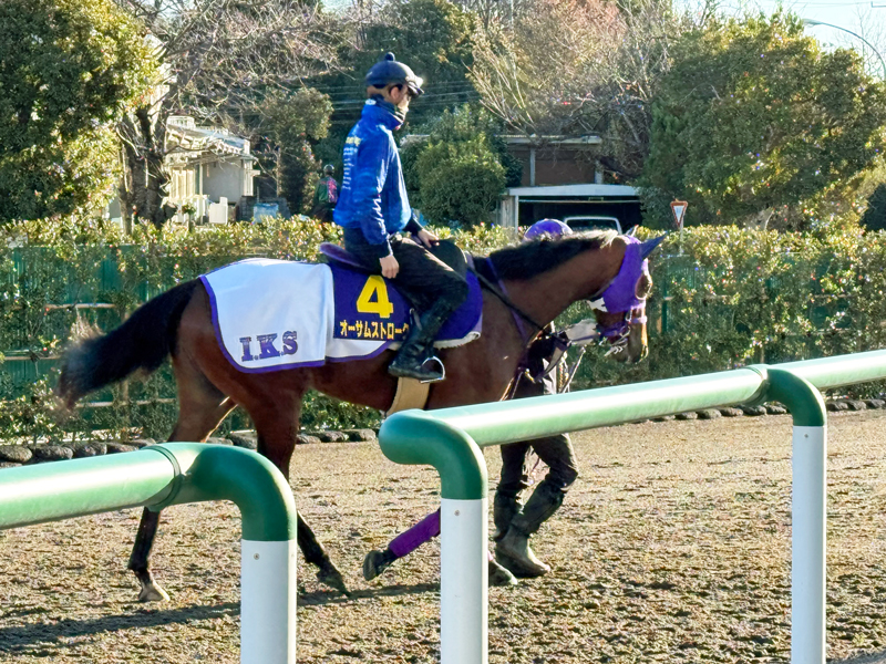 オーサムストローク オーサムストローク