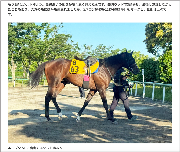 美浦トレセンレポート