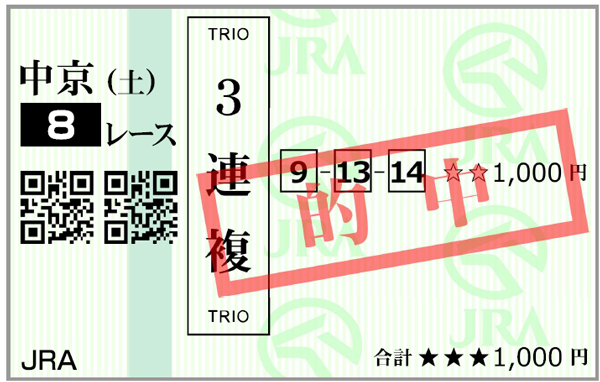 8月10日(土)中京8R  購入馬券