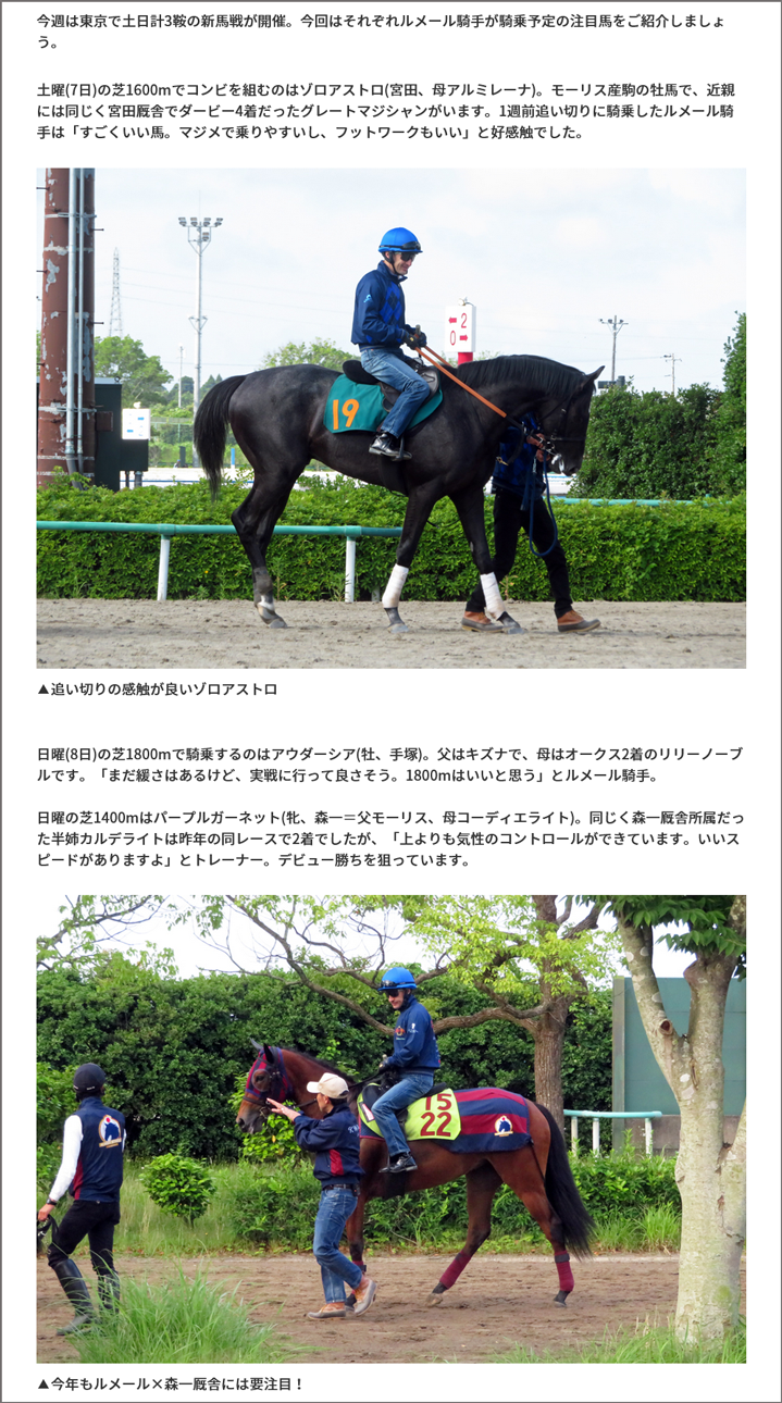 若駒レポート