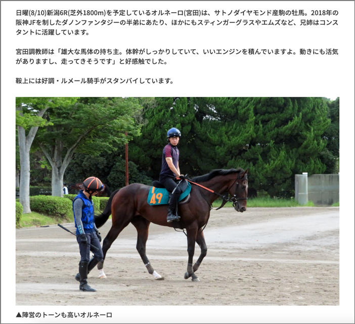 若駒生情報