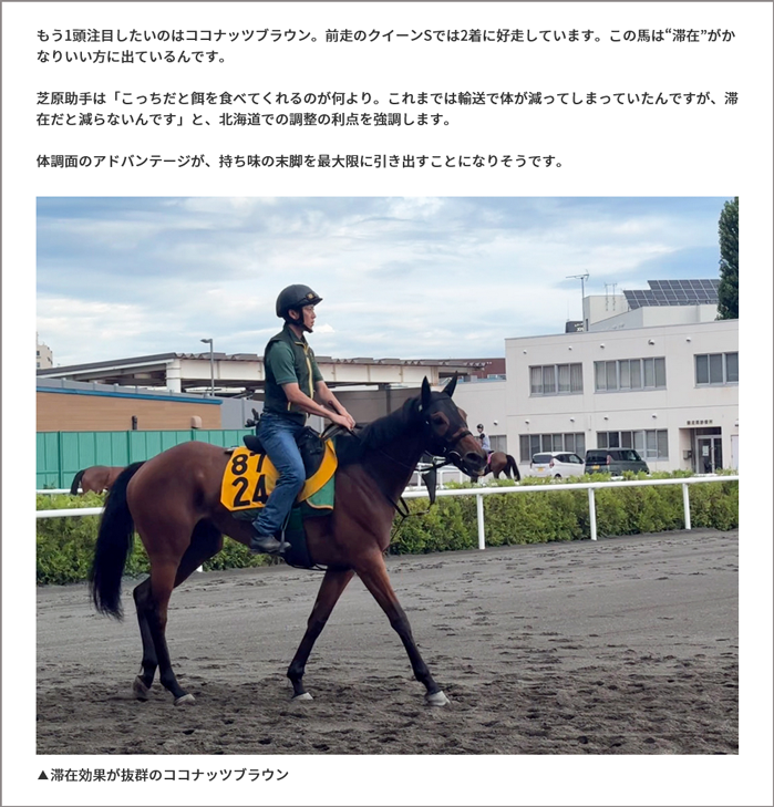 美浦トレセンレポート
