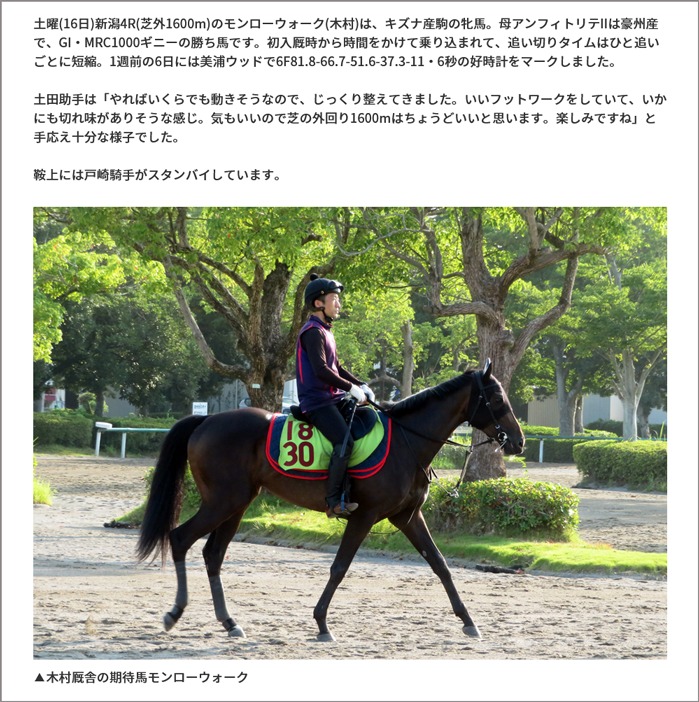 若駒生情報