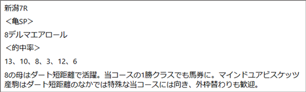 8月31日(日)新潟7R 亀谷の見解