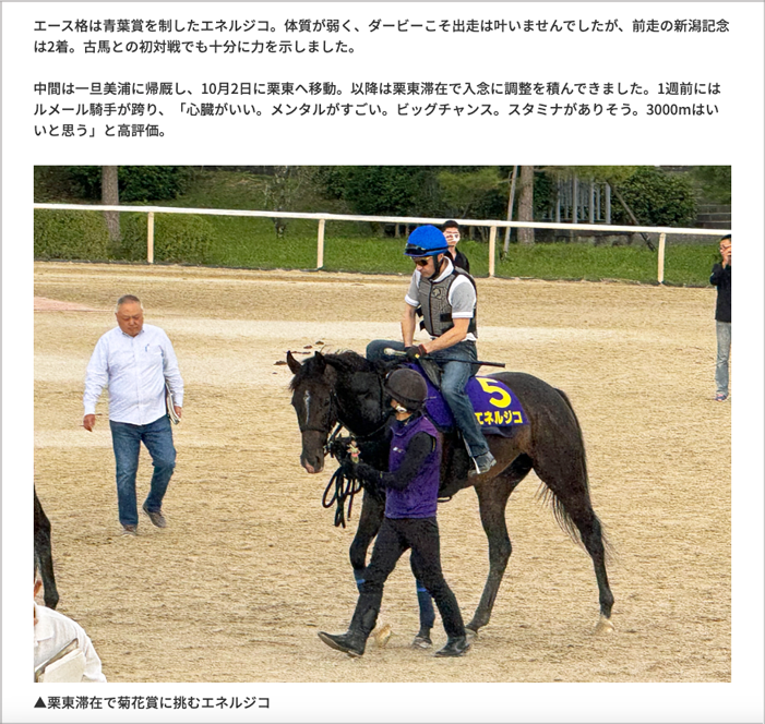 美浦トレセンレポート 美浦トレセンレポート